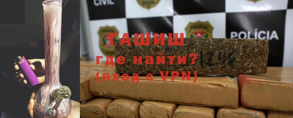 индика Алзамай