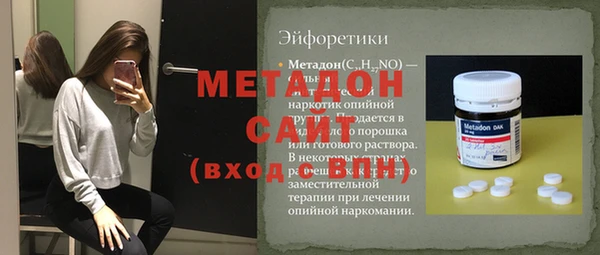 индика Алзамай