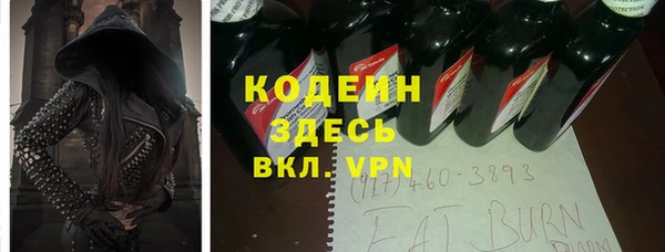 индика Алзамай