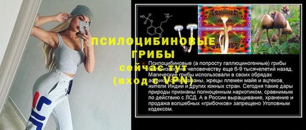 2c-b Алексин