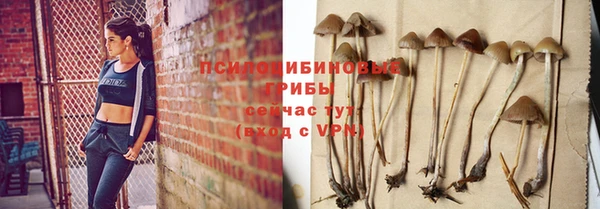 индика Алзамай