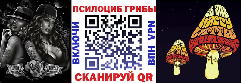 Галлюциногенные грибы ЛСД  Купить  Чернушка 