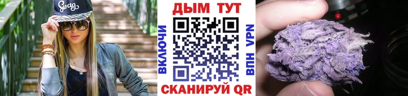 Каннабис сатива  Купить закладки  Чернушка 